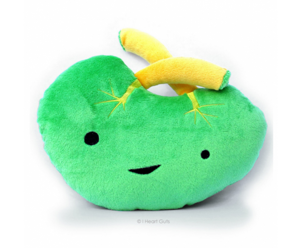Plush fabric green anatomical spleen with yellow valve stems and black embroidered eyes and mouth.