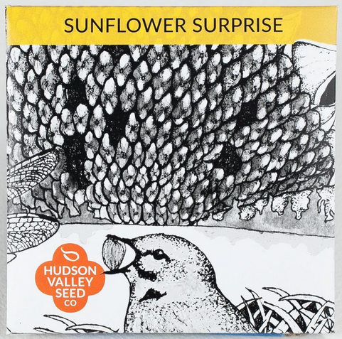 Packet of Sunflower Surprise seeds.