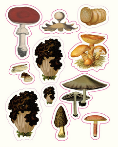 Page of various mushroom stickers from The Forests, Fairies, and Fungi Sticker Anthology. 