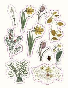 Page of various flora and fauna from The Forests, Fairies, and Fungi Sticker Anthology. 