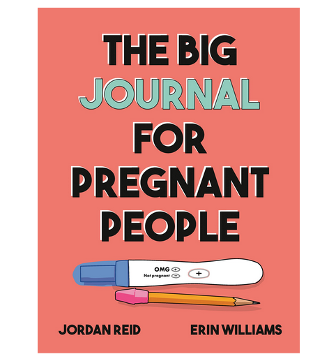 Cover of The Big Journal for Pregnant People.  