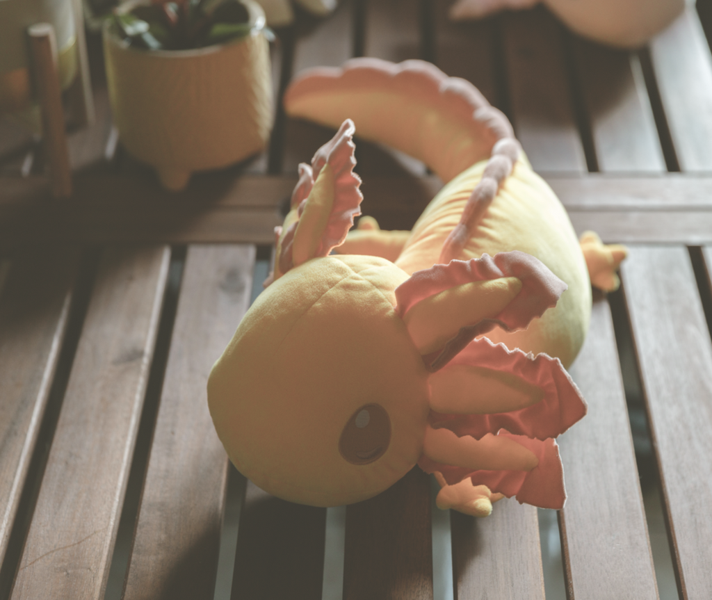 This plush is designed after the axolotl, an endangered salamander native to central Mexico. Measuring 26" from head to tail and weighing 4 pounds, our realistic axolotl plush provides a sense of comfort and calmness in times of anxiety or nervousness.