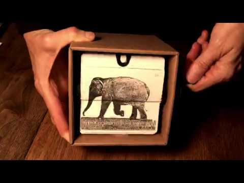 Video showing a moving illustration of an elephant walking playing in a flipbookit box.